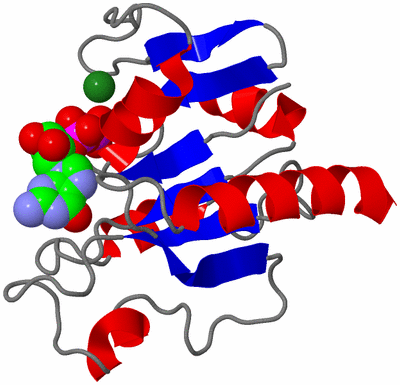 Image NMR Structure - model 1