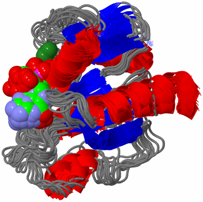 Image NMR Structure - all models