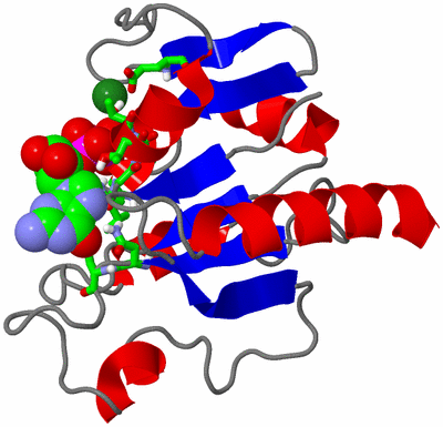 Image NMR Structure - model 1, sites