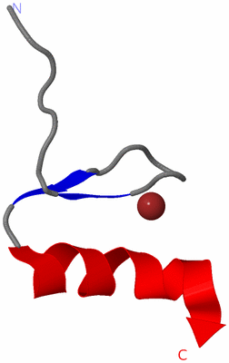 Image NMR Structure - model 1