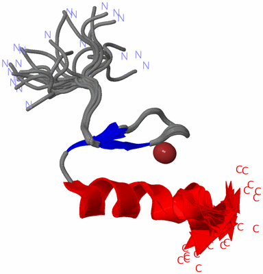 Image NMR Structure - all models