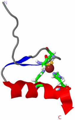 Image NMR Structure - model 1, sites