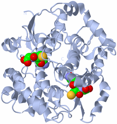 Image Biological Unit 1