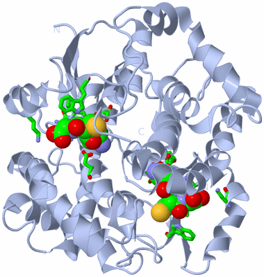 Image Biol. Unit 1 - sites