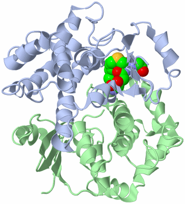 Image Asym./Biol. Unit