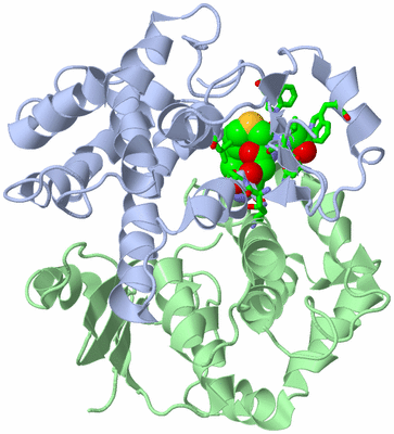 Image Asym./Biol. Unit - sites