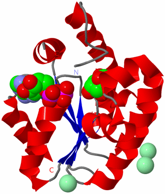 Image Asym./Biol. Unit