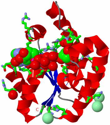 Image Asym./Biol. Unit - sites