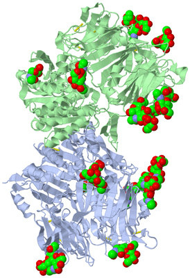 Image Asym./Biol. Unit