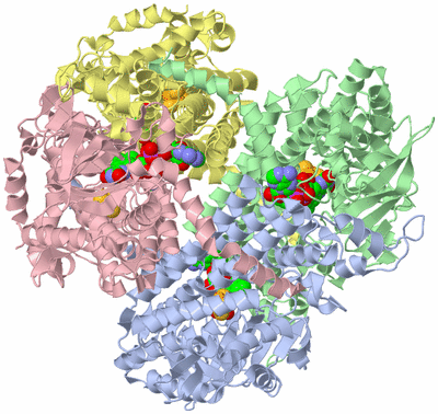 Image Asym./Biol. Unit