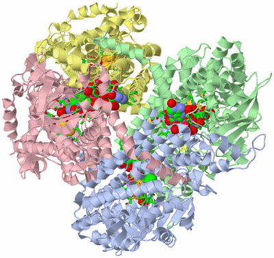 Image Asym./Biol. Unit - sites