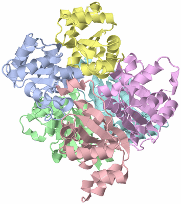 Image Asym./Biol. Unit