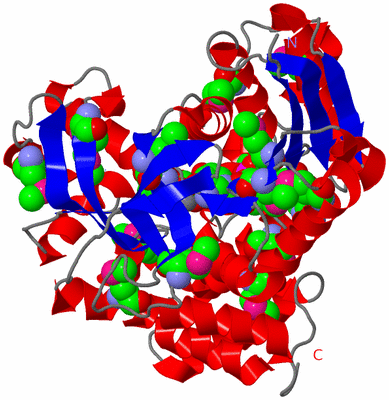 Image Asym./Biol. Unit