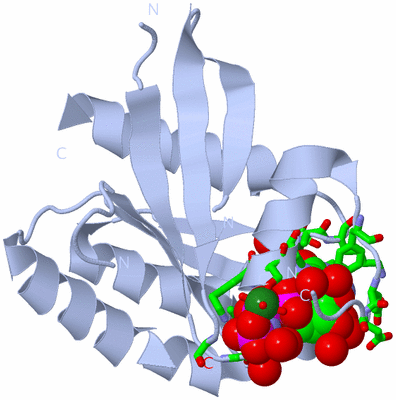 Image Biol. Unit 1 - sites