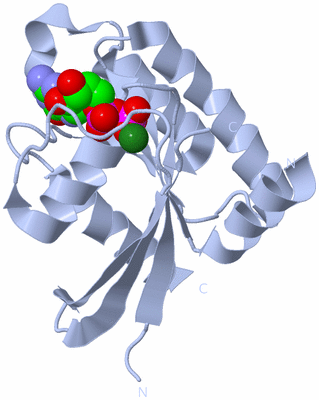 Image Biological Unit 1