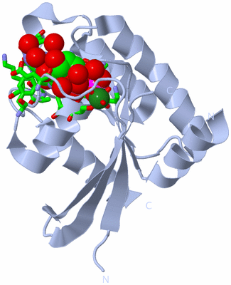 Image Biol. Unit 1 - sites