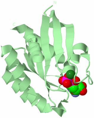 Image Biological Unit 2