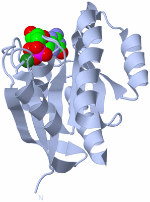 Image Biological Unit 1