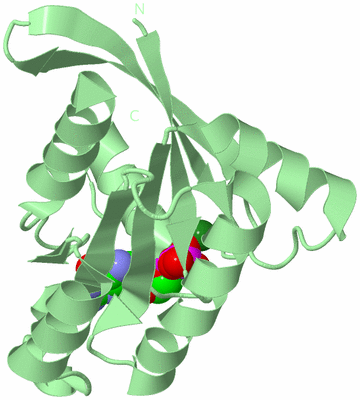 Image Biological Unit 2