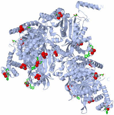 Image Biol. Unit 1 - sites