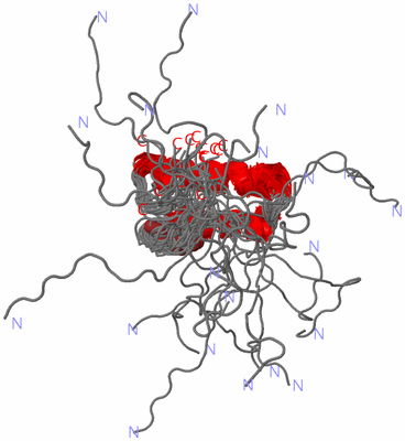 Image NMR Structure - all models