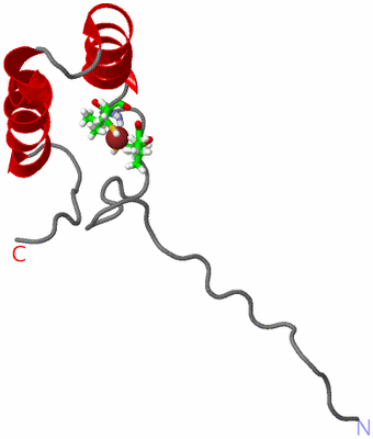 Image NMR Structure - model 1, sites