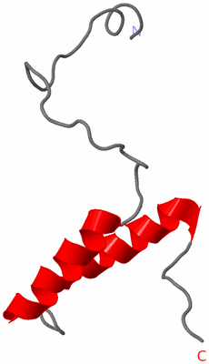 Image NMR Structure - model 1