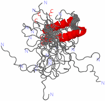 Image NMR Structure - all models