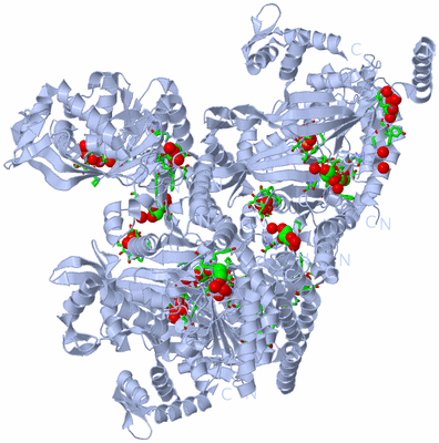 Image Biol. Unit 1 - sites