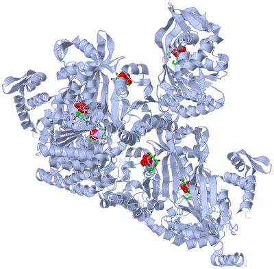 Image Biol. Unit 1 - sites