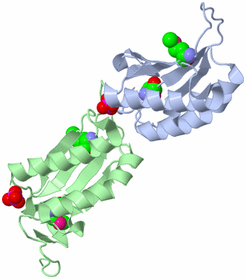 Image Biological Unit 1