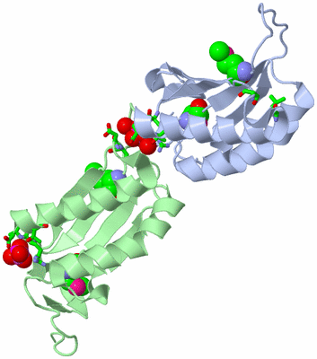 Image Biol. Unit 1 - sites