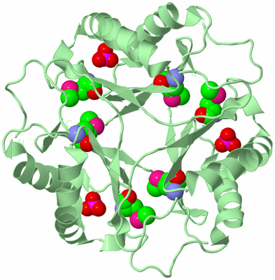 Image Biological Unit 3