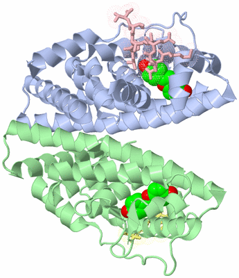 Image Biological Unit 3