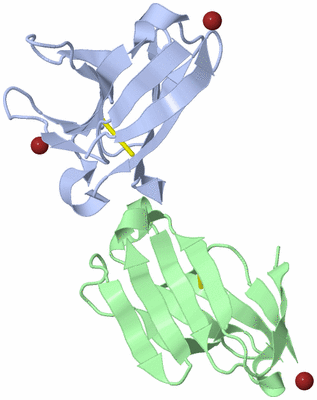 Image Asymmetric Unit