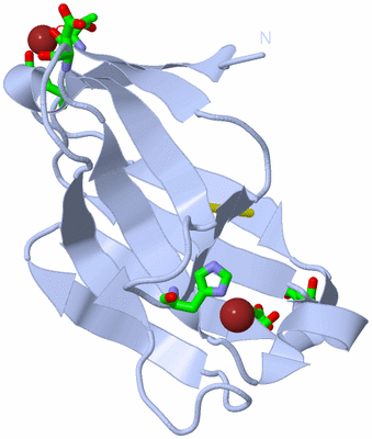 Image Biol. Unit 1 - sites