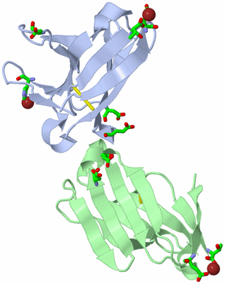 Image Asym. Unit - sites