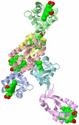 Image Asymmetric Unit