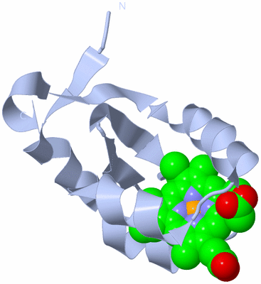 Image Biological Unit 1