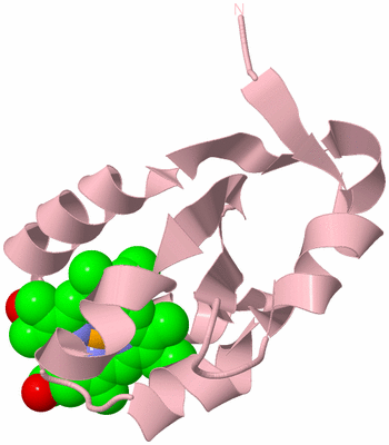 Image Biological Unit 3