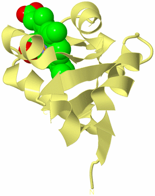 Image Biological Unit 4