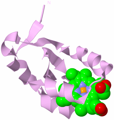 Image Biological Unit 5