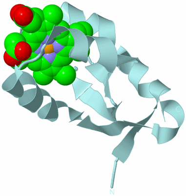 Image Biological Unit 6