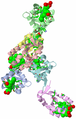 Image Asym. Unit - sites