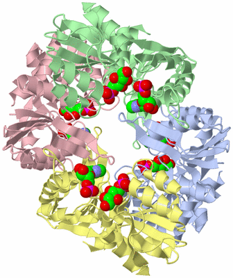 Image Asym./Biol. Unit