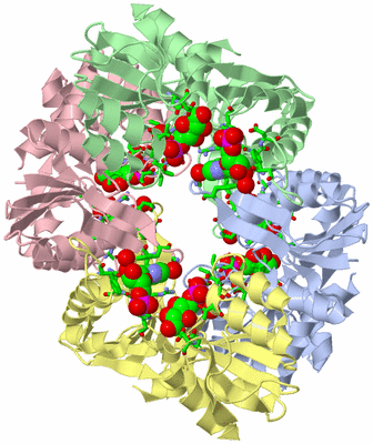 Image Asym./Biol. Unit - sites