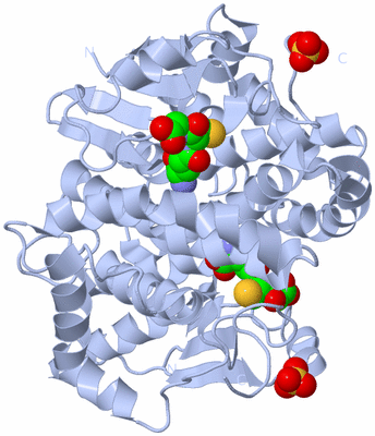 Image Biological Unit 1