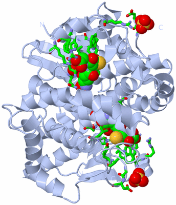 Image Biol. Unit 1 - sites