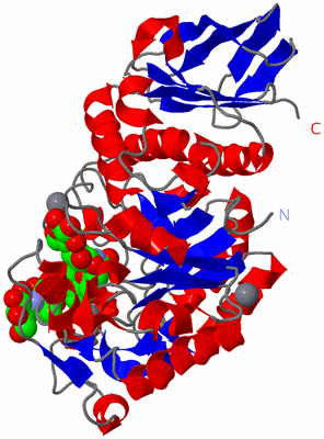 Image Asym./Biol. Unit