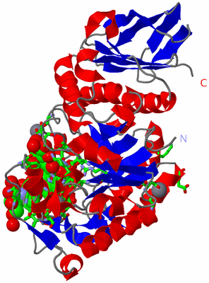 Image Asym./Biol. Unit - sites